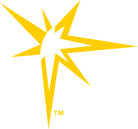 Tampa Bay Rays 2008-Pres Alternate Logo fabric transfer